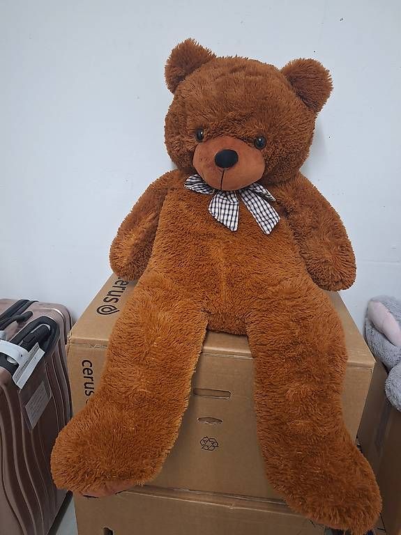 Jouets: Grosser Brauner Teddybär zu verschenken – Neuf avec emballage d'origine à Gutenswil par nao_txr5