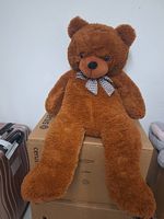 Grosser Brauner Teddybär zu verschenken