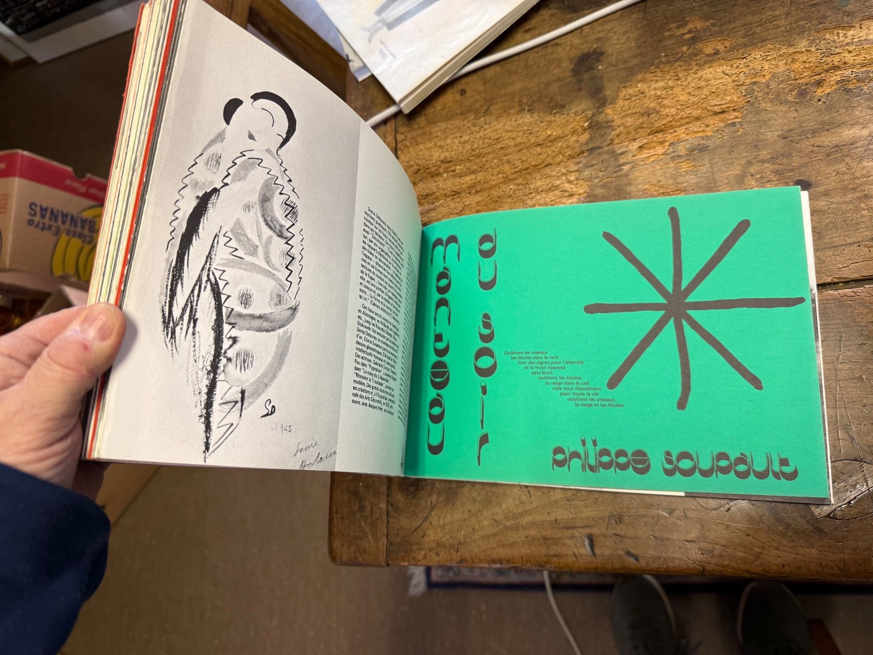 Libri: Sonja DELAUNAY 1925 Jacques Damase – Usato da Bern venduto da Jwpm66 4