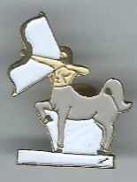 Plaketten & Abzeichen: Sternzeichen Centaur, Pin – Gebraucht aus Zürich von t24_de