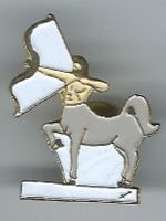 Sternzeichen Centaur, Pin