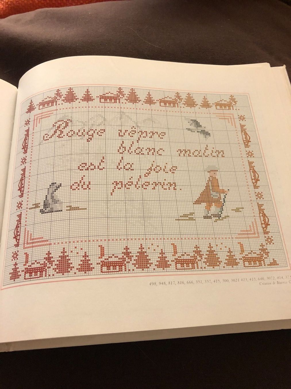 Libri: Broderies Point de croix DMC – Nuovo (secondo la descrizione) da Delémont venduto da stella063 3