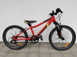 Mountainbike