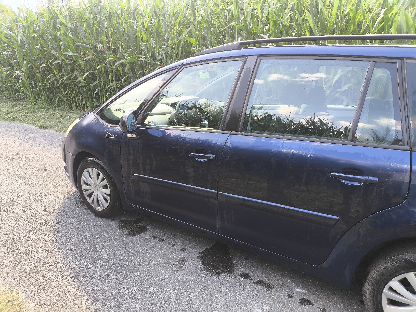 Citroën Automobili: Citröen C4 Picasso 2.0L Diesel – Usato da Balgach venduto da skl_5lyw 5