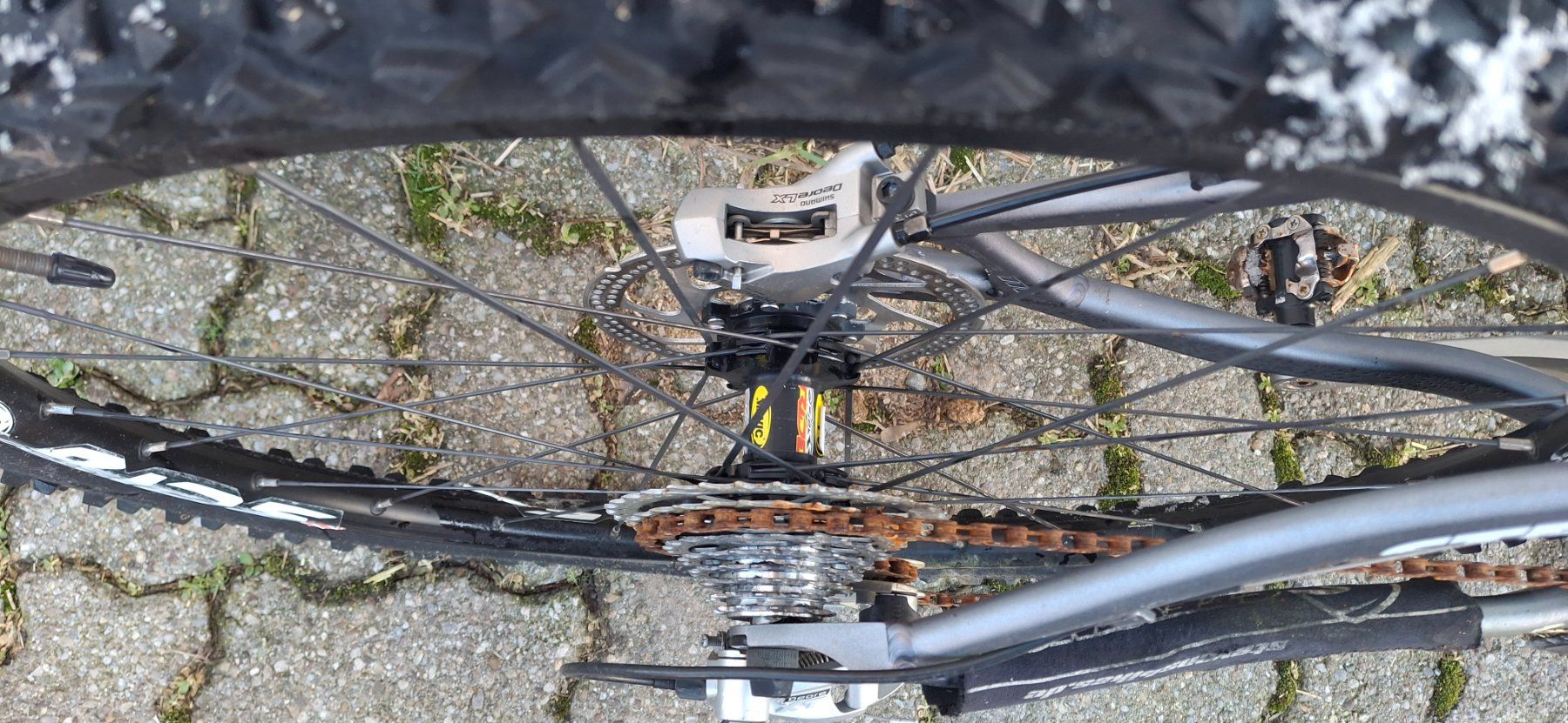 Mavic Biciclette: Mtb Steevens Mavic Räder – Usato da Kyburg venduto da JBMNT2020 4
