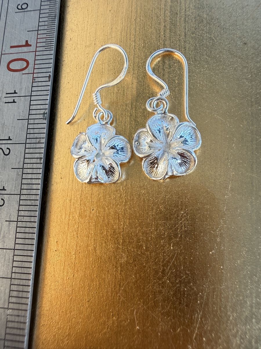 Boucles d'oreille: 925 Silber Ohrhänger – Neuf avec emballage d'origine à Maienfeld par Cmicky 2