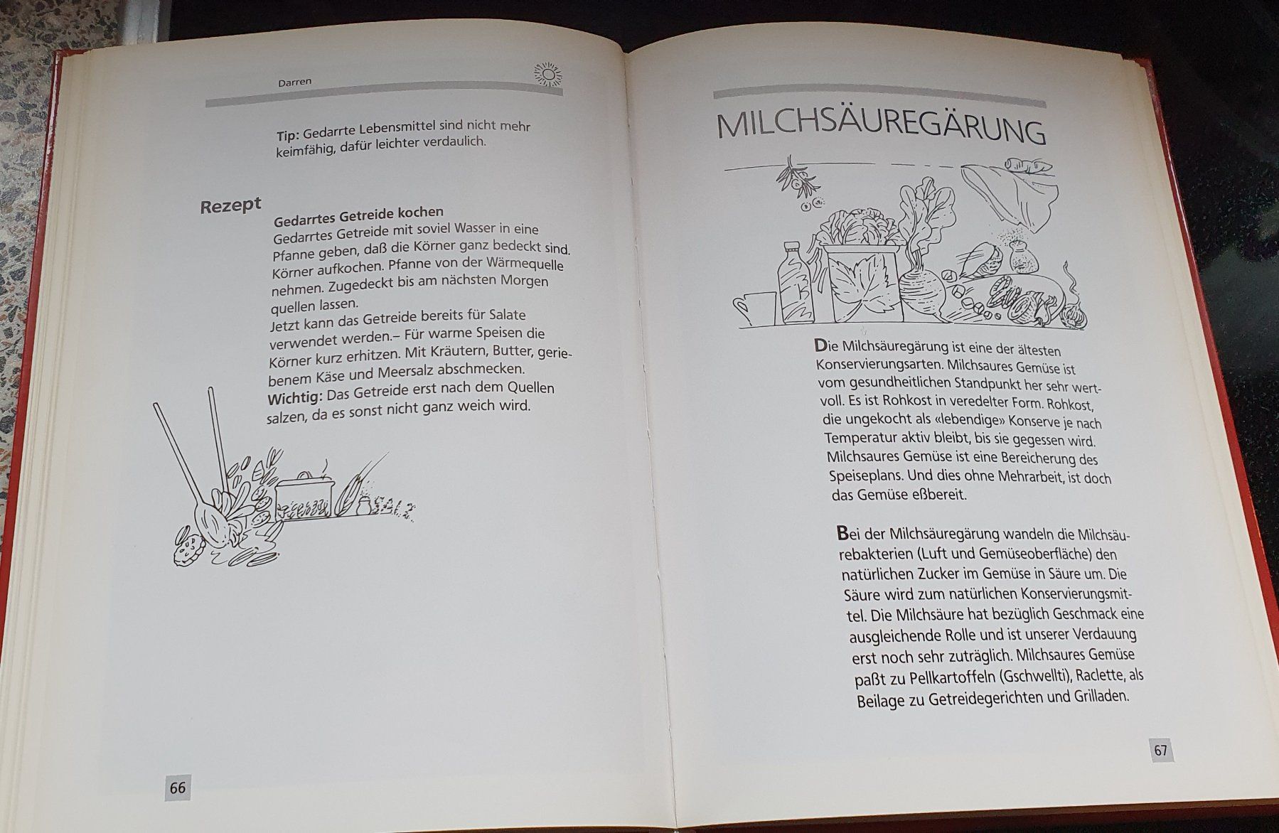 Libri: Einmachbuch – Usato da Walzenhausen venduto da Krautilein 2