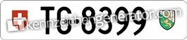 Kontrollschild TG 8399