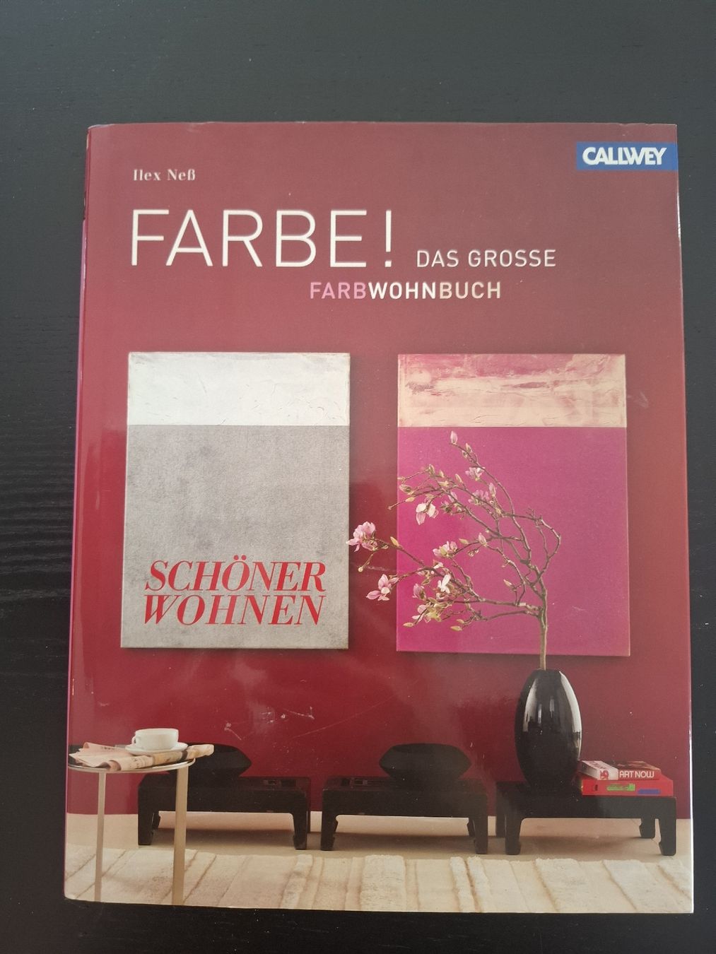 Libri: Farbe! Das grosse Farbwohnbuch • Ilex Neß • Callwey Verlag – Usato da Ottenbach venduto da Rasenmaeeher