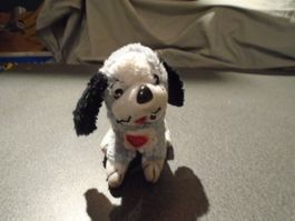 Hund, hellgrau, weiss, schwarze Ohren