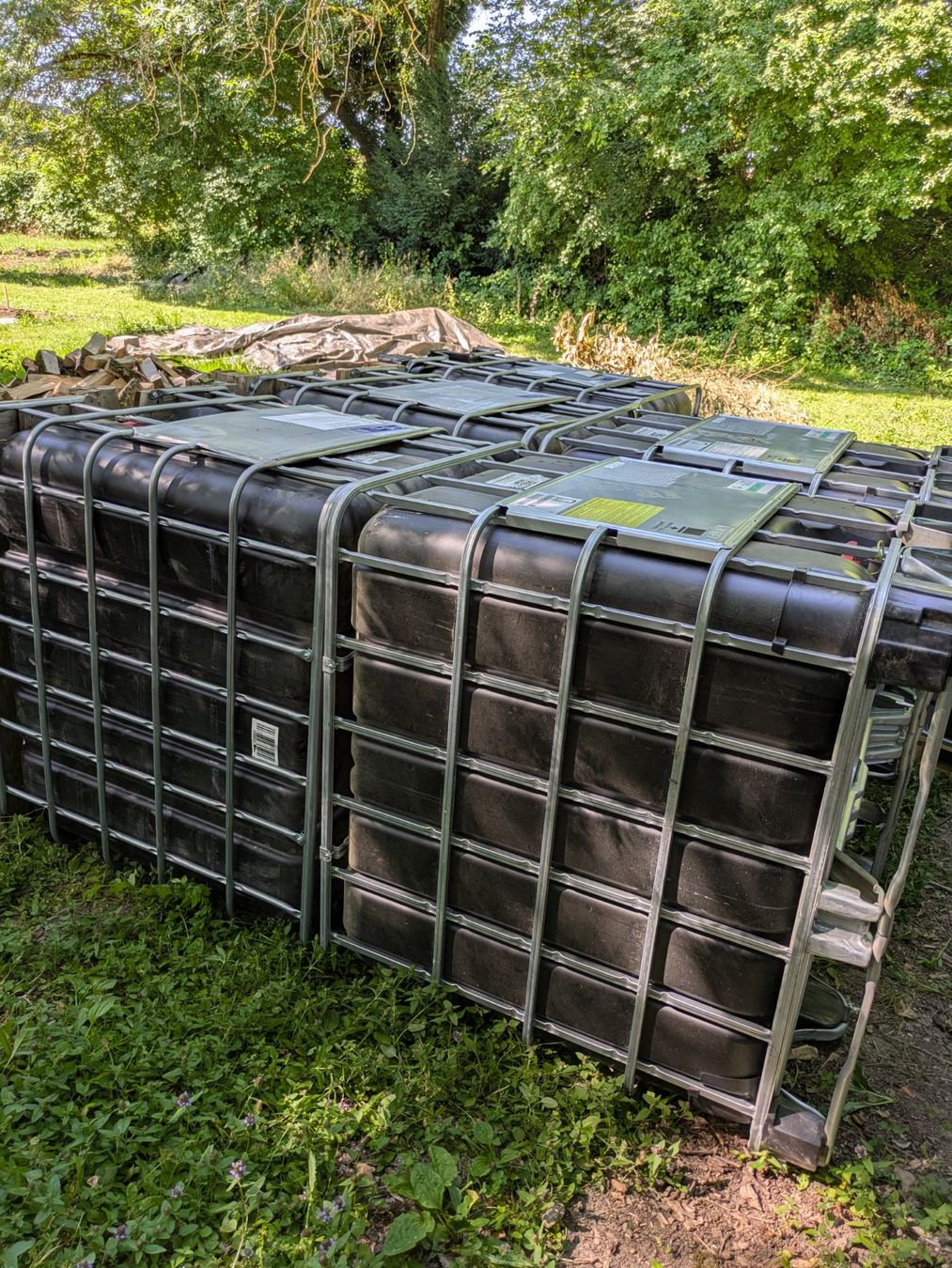 Tränken & Tröge: Cuves IBC noire 1000L – Gebraucht aus Meyrin von nas_vb2x 2