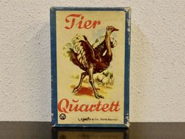 schönes altes TIER Quartett