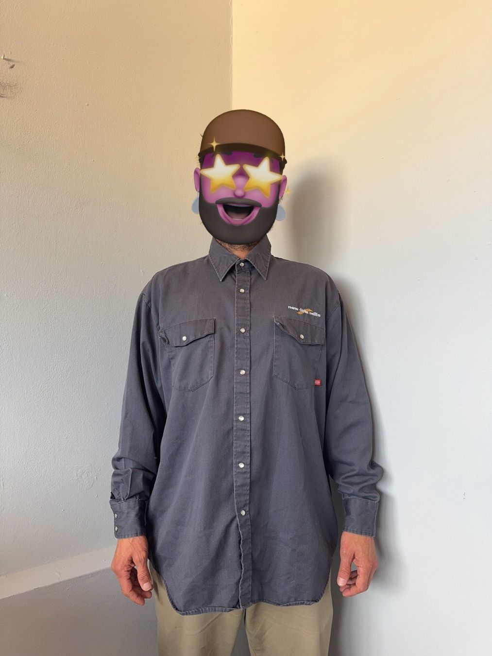 Dickies Camicie: Dickies Shirt men size XL – Usato da Neuchâtel venduto da _Easy_to_Find_