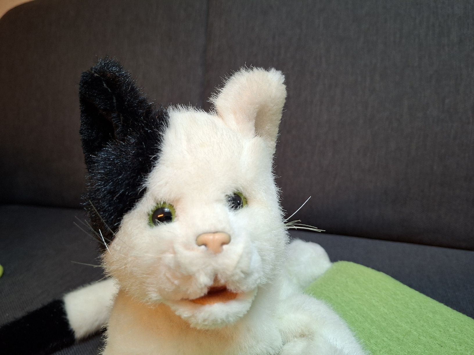 Spielzeuge: Handpuppe Katze Timmi schwarz/weiss – Gebraucht aus Bilten von ecobi 1
