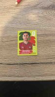 Fussballkarte Panini WM 2022 João Cancelo neu