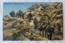 AK MILITÄR, Grenzbesetzung 1914, Gebirgsartillerie