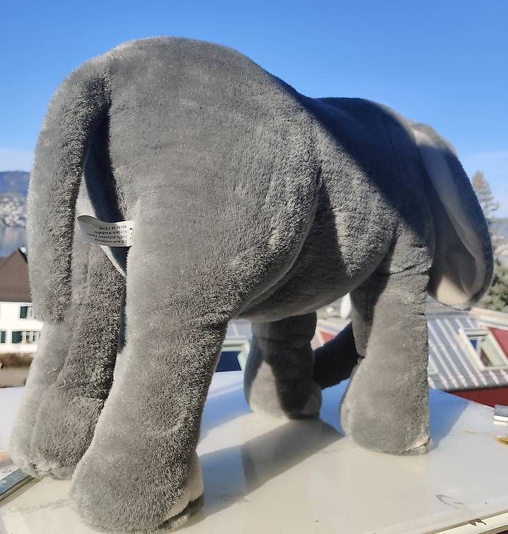 Giocattoli: Plüschelefant – Usato da Erlenbach ZH venduto da Corto1 1