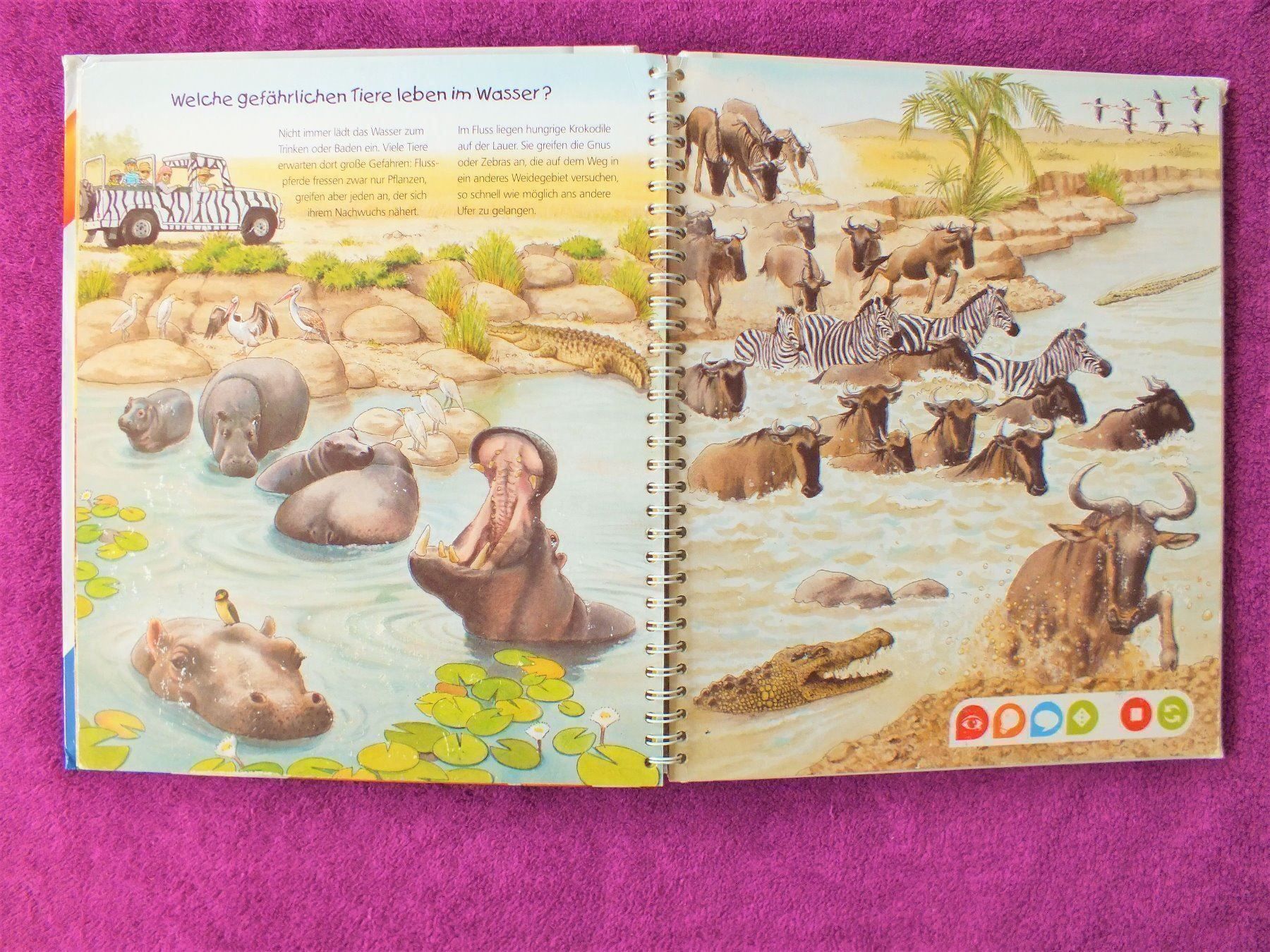 Libri: tiptoi Buch - Endecke die Tiere Afrikas – Usato da Müllheim Dorf venduto da Seeeule01 4