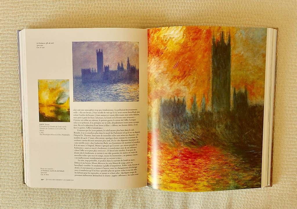 Libri: Peintre Monet – Nuovo (secondo la descrizione) da Genève venduto da fto_sz8d 1