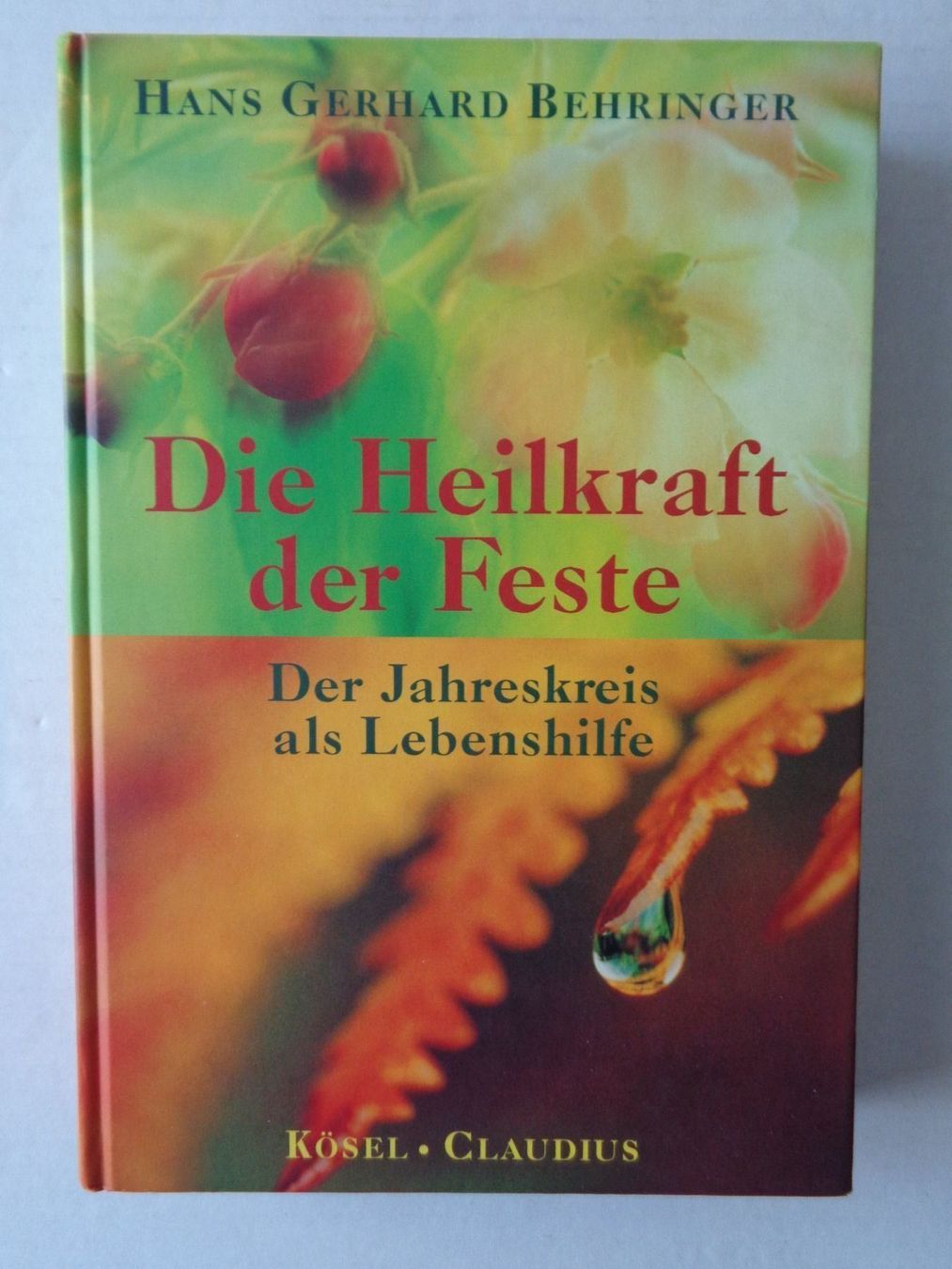 Libri: Die Heilkraft der Feste – Usato da Chur venduto da omonia