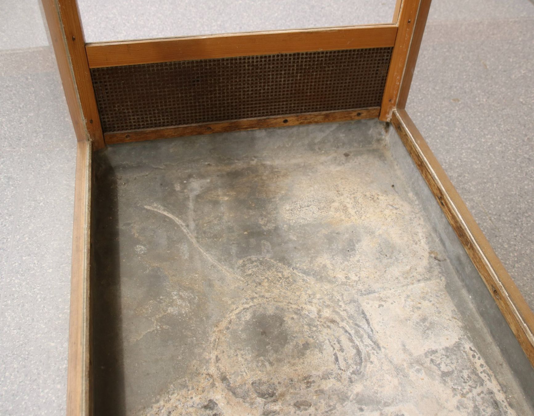 Terrarium: Terrarium – Gebraucht aus Sulgen von Harfe73 6