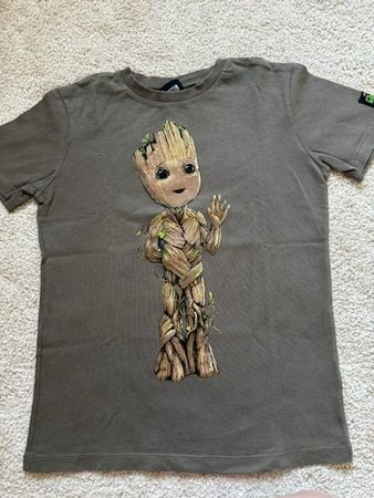 T-Shirt kurzarm Gr. 134 – Groot (Next)