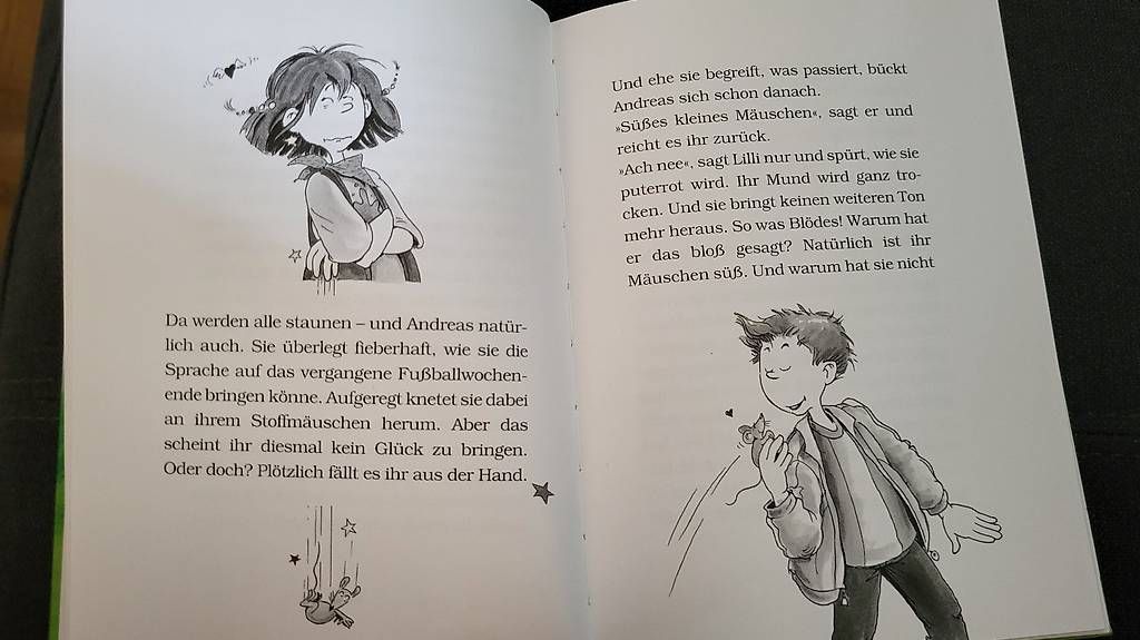 Libri: Buch Hexe Lilli im Fussballfieber – Usato da Rorschacherberg venduto da Maku007 1