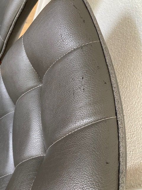 Chaises: Stühle Lederoptik grau Freischwinger gebraucht – D'occasion à Dietwil par koc_575g 2