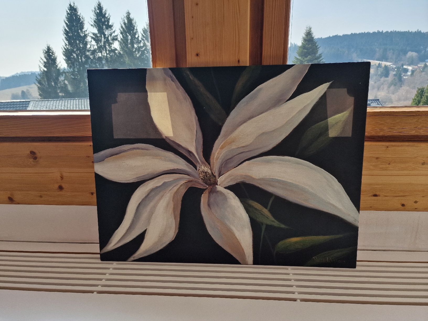 Foto & Immagini: Kunstdruck von Rian Withaar auf Leinwand – Usato da Eglisau venduto da mmkristall 1