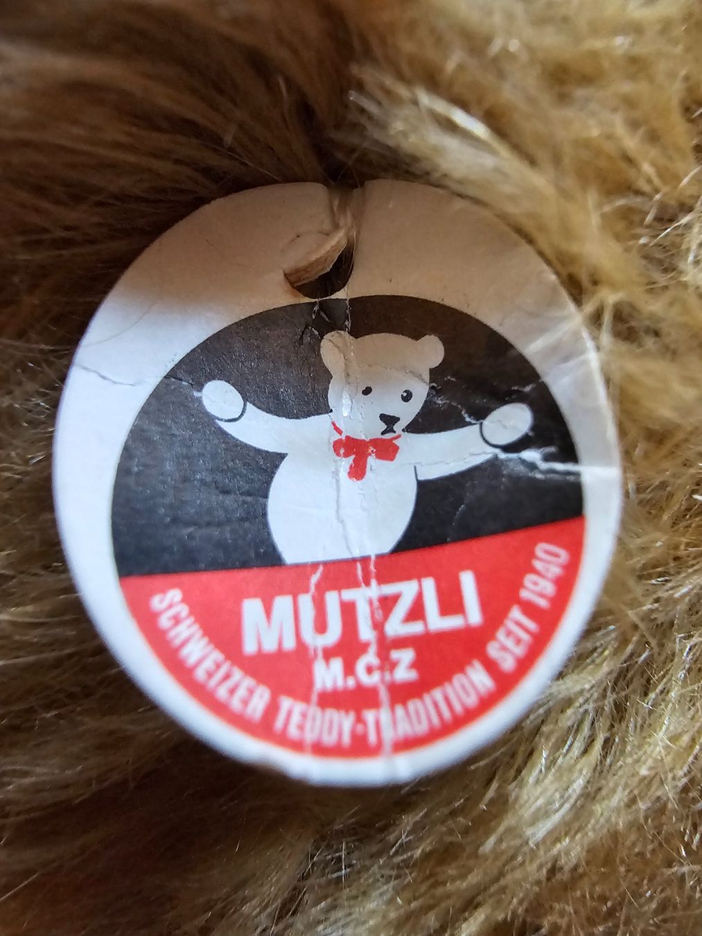 Giocattoli: Mutzli Teddy MCZ – Usato da Bigenthal venduto da Westerngirl 2