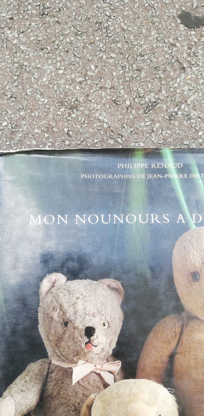 Spielzeuge: Buch: Mon Nounours A Des Bobos – Gebraucht aus Thun von Matthias72 1