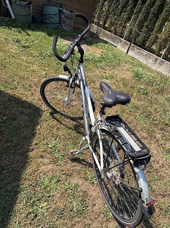 Biciclette: Felt Damenfahrrad  – Usato da Thal venduto da dan_c255