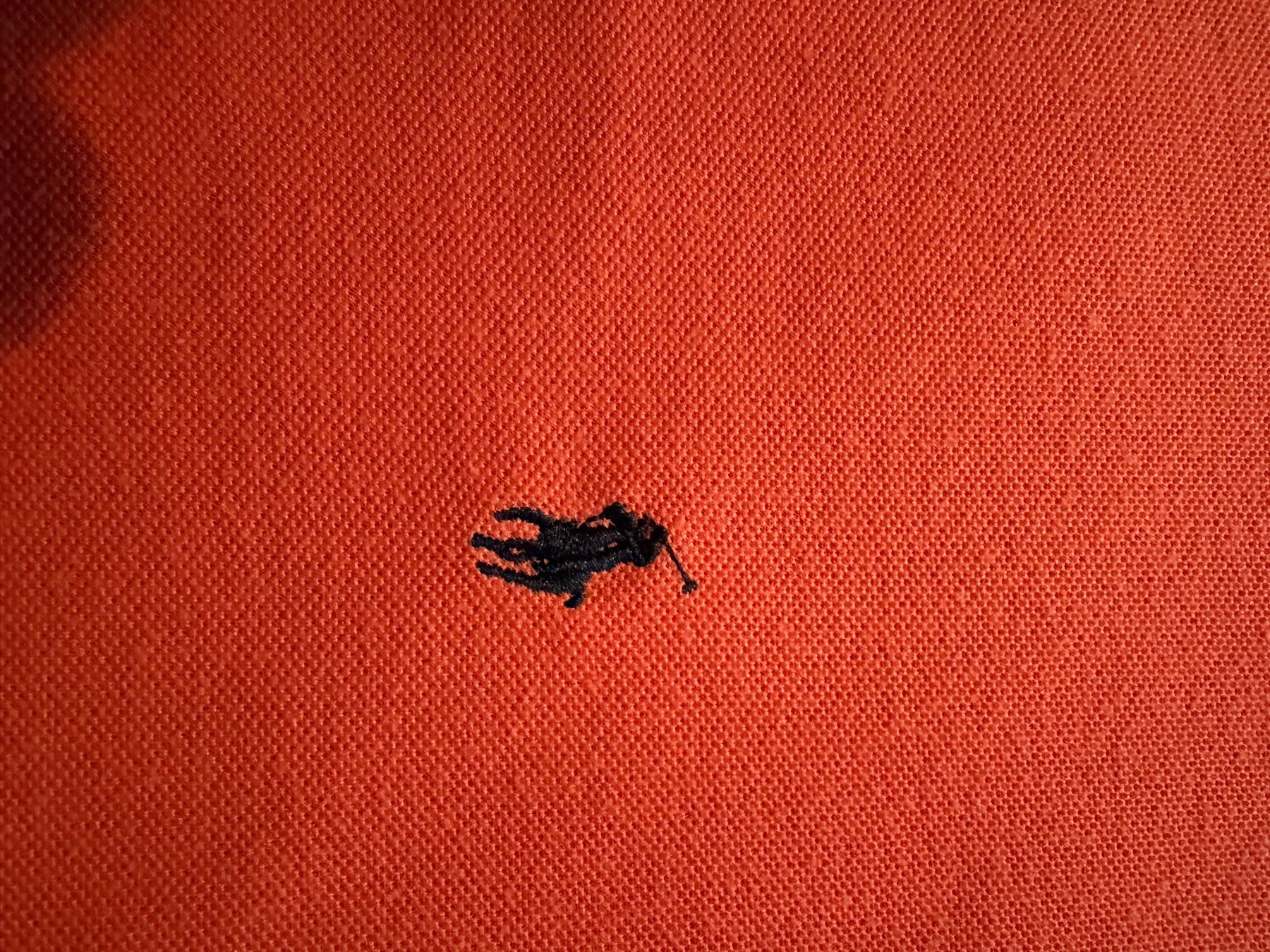 Polo Ralph Lauren Magliette Polo: Polo Ralph Lauren – Usato da riddes venduto da lauali01 2