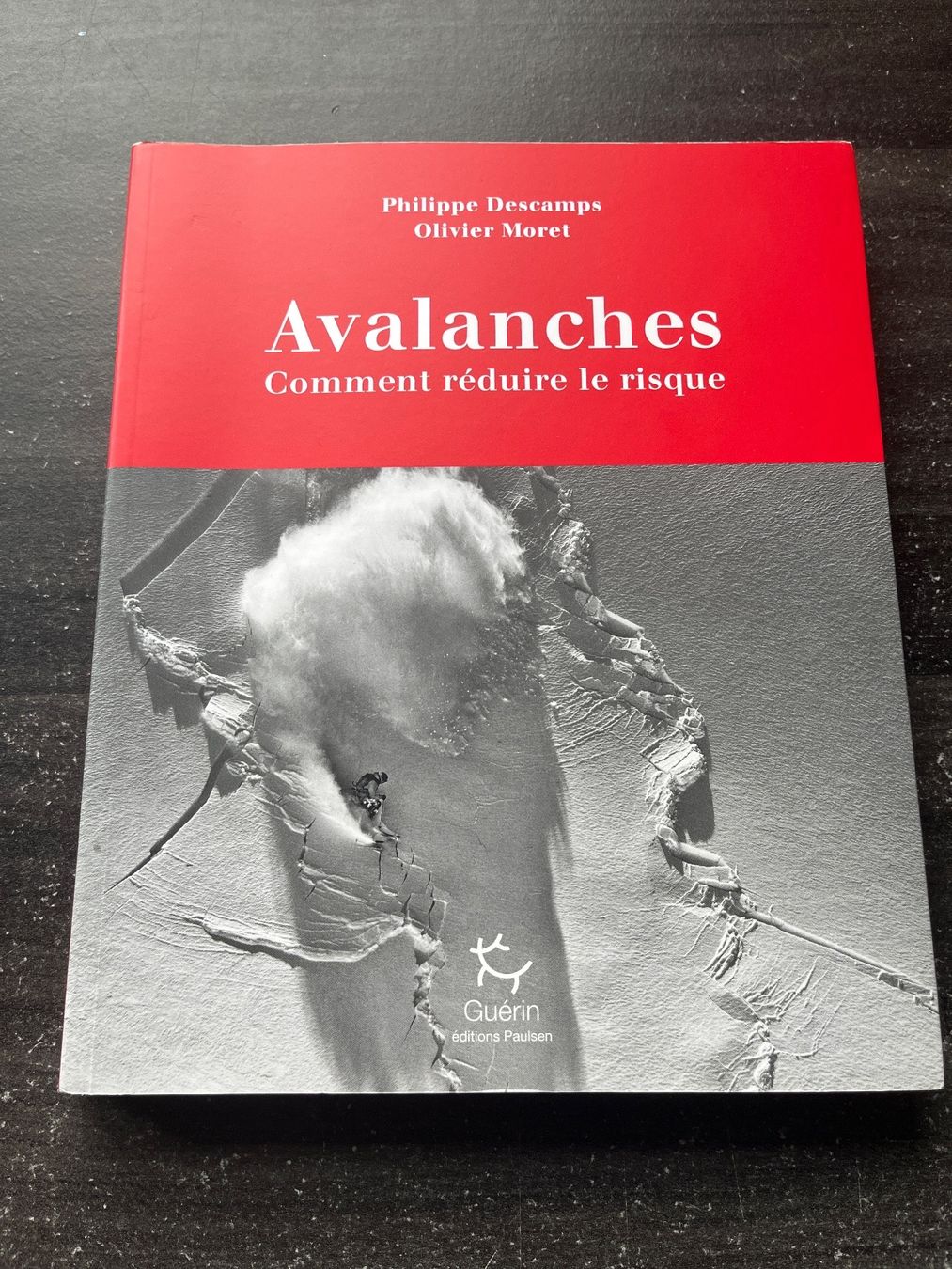 Livres: Livre avalanches - comment réduire le risque – D'occasion à Le Locle par Ophelhugy