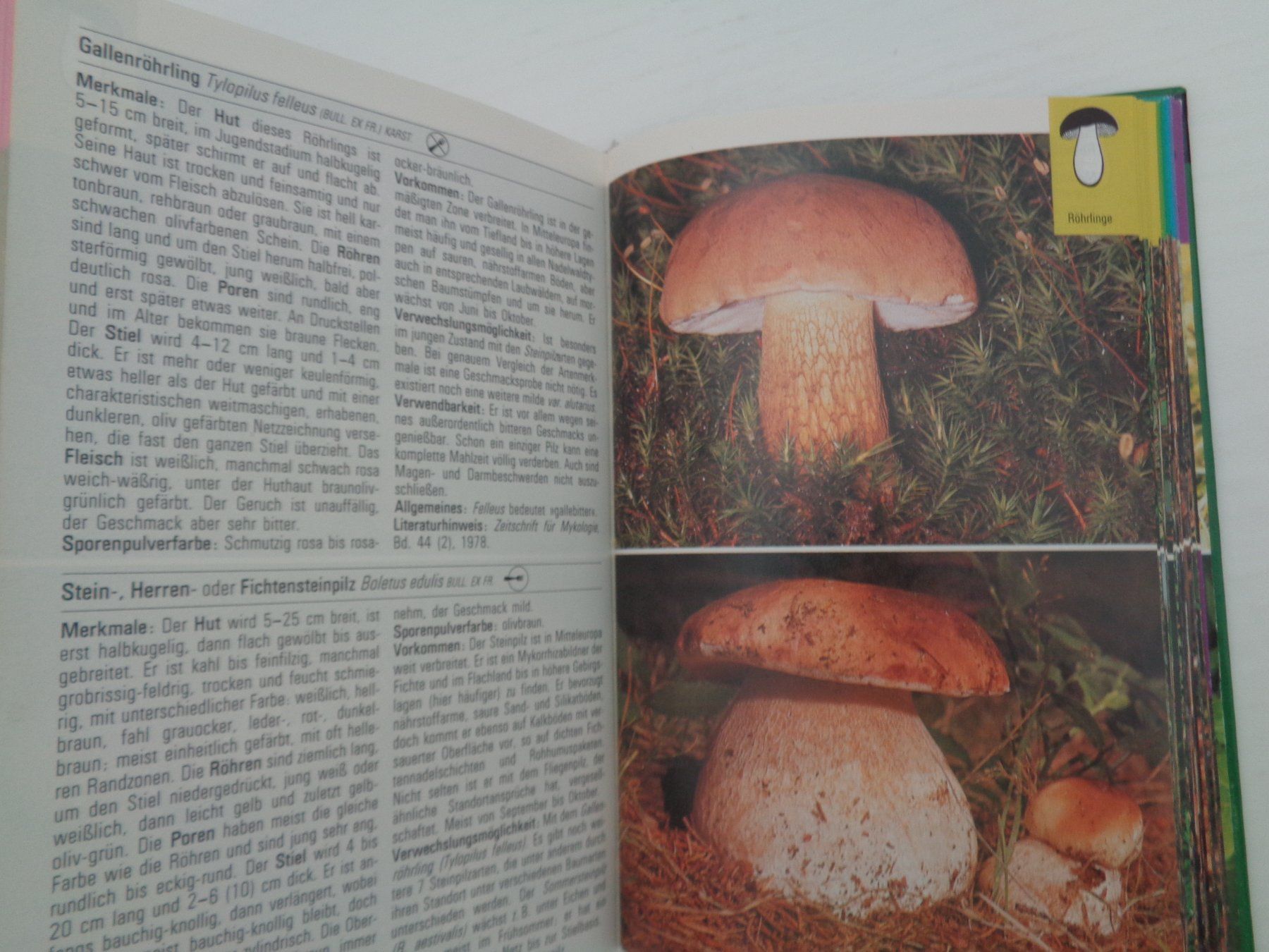 Libri: Pilze - die farbigen Naturführer – Usato da Chur venduto da Oregano1 2