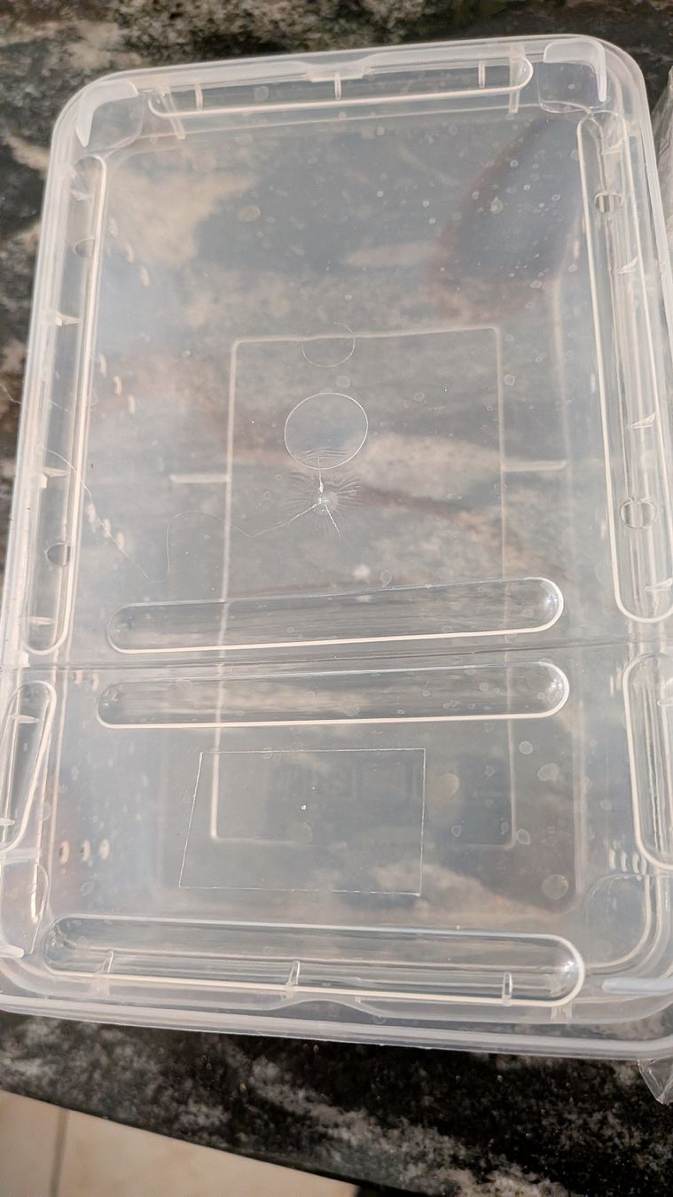 Gabbie, trasporto & Sicurezza: Transport Box Transparent  – Nuovo e nell'imballaggio originale da Wattenwil venduto da karinschaw