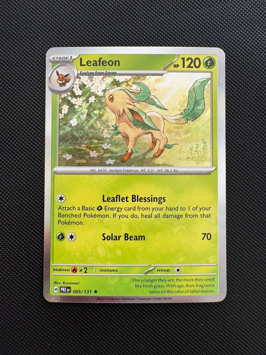 Pokémon Carte collezionabili: Pokémon Lafeon 005/131 – Usato da Seuzach venduto da provenzano18