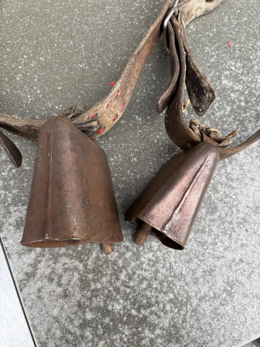 Campanacci mucche: Rindertreicheli – Usato da Schangnau venduto da Roseggli82 3