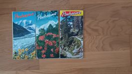 3 antike Prospekte über PONTRESINA