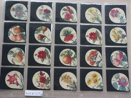 Serie 412 E   Blumen und  Früchte Gastro