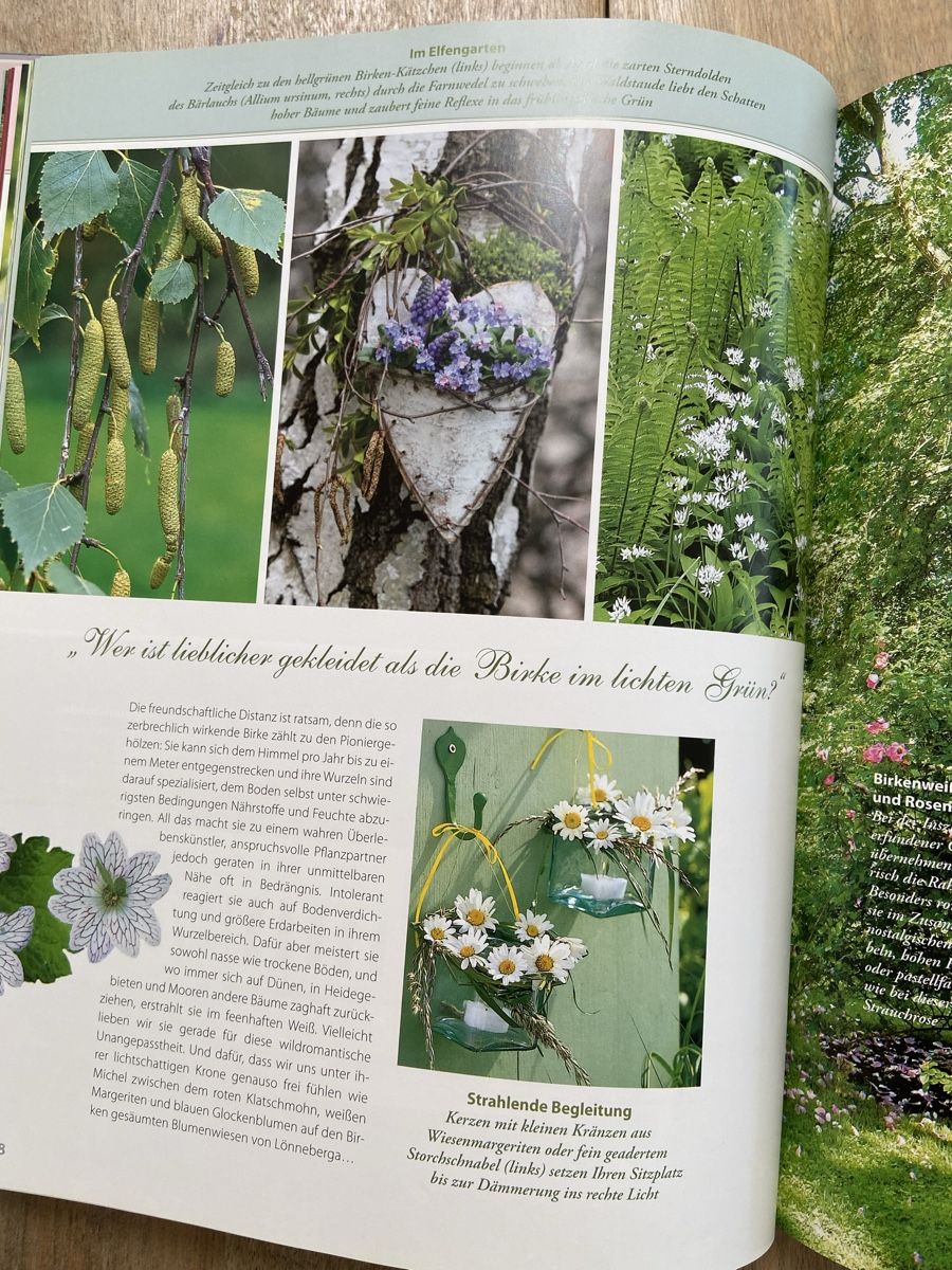 Libri: Das Sommerbuch Wohnen & Garten Buch neuwertig – Nuovo (secondo la descrizione) da Luzern venduto da waterfront1 9