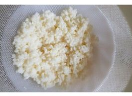 Milchkefir-Pilze / -Knollen