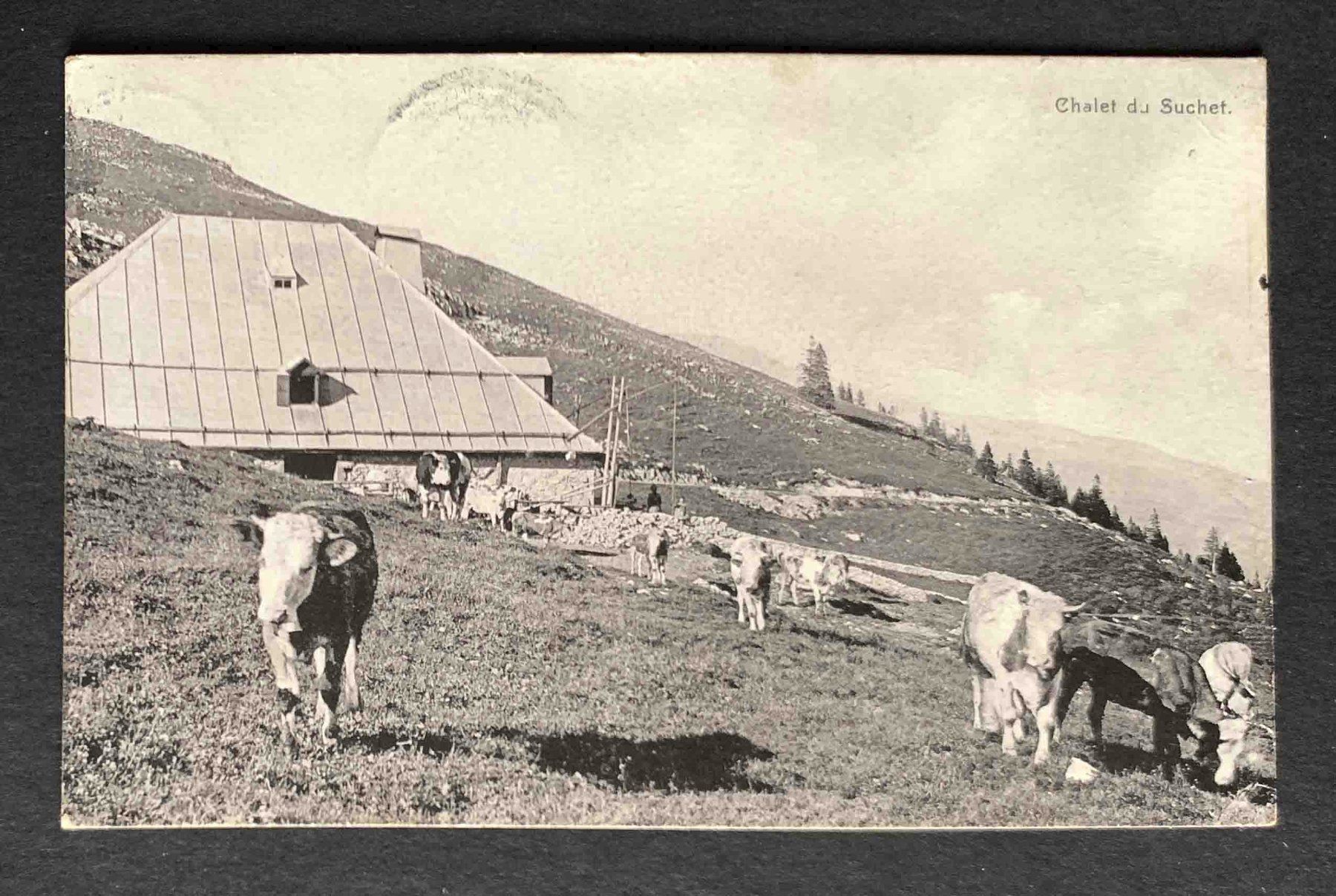 Ansichtskarten: AK Chalet du Suchet – Gebraucht aus Goldau von artelier1