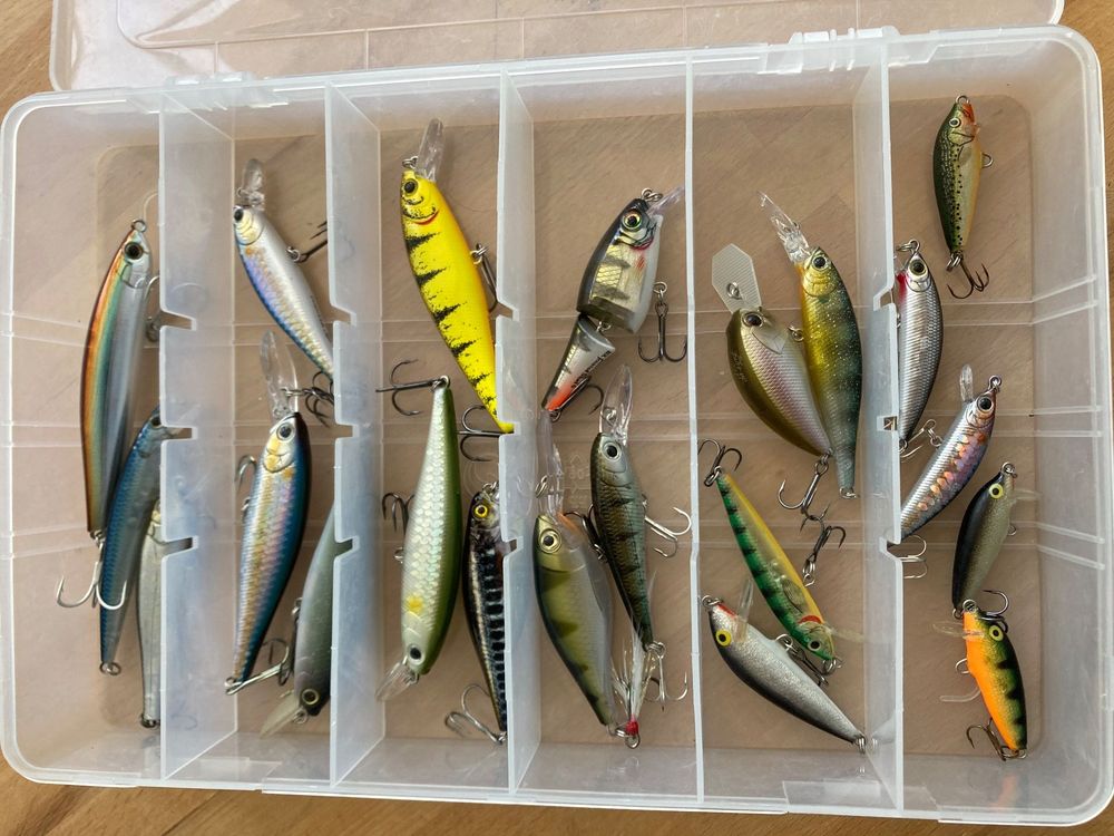 Berkley Area Game Spoon Chisai 2,2g | Spoons | Forellenangeln