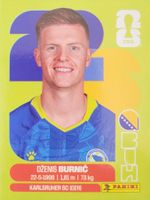 Panini FIFA World Cup BIH 14