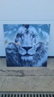 Glasbild / Bild auf Glasscheibe / Löwe / 50cm * 50cm
