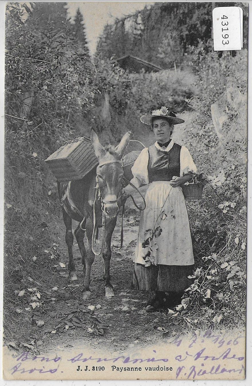 Cartoline postali: Paysanne vaudoise avec mule Maultier – Usato da Ettingen venduto da Kartenplanet