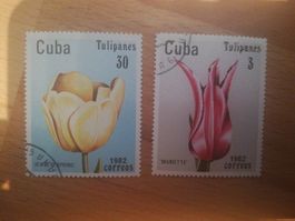 Briefmarken Kuba Blumen Tulpen
