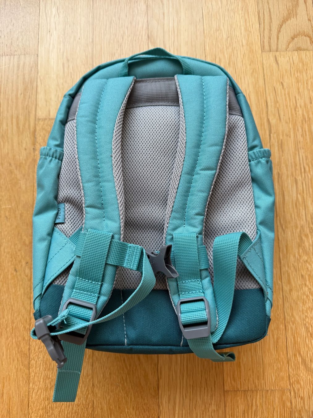 Deuter Borse & Zaini: Deuter Kinder Tagesrucksack – Usato da Baden venduto da polveres 1