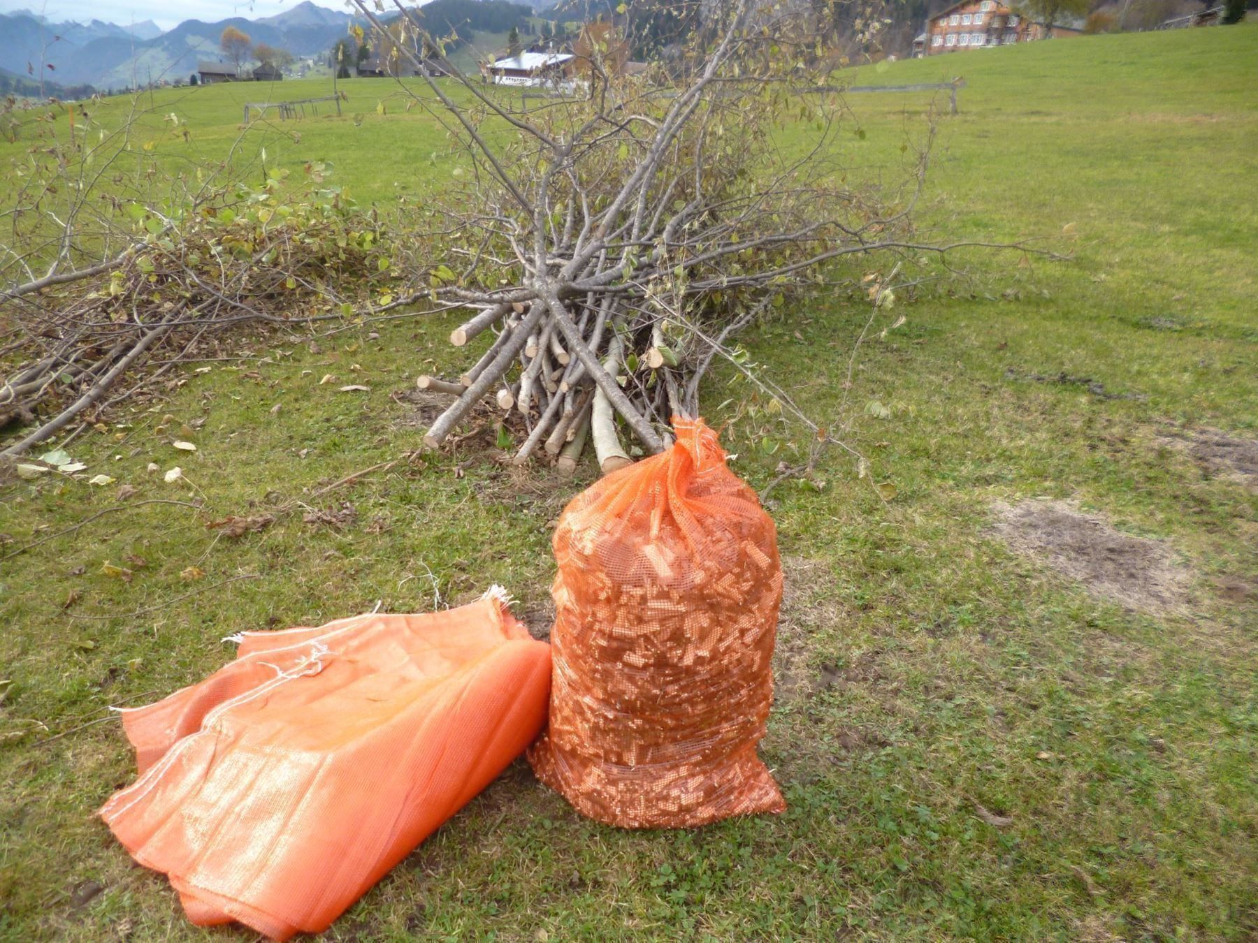 Tutte le macchine: Holzhacker mit Absackanlage – Nuovo e nell'imballaggio originale da Kastanienbaum venduto da acapulco 4
